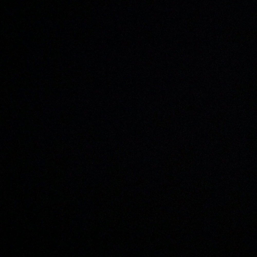 Meet your Posher, Izzy